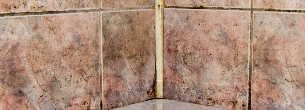 mould in bathroom dirty bathroom tiles